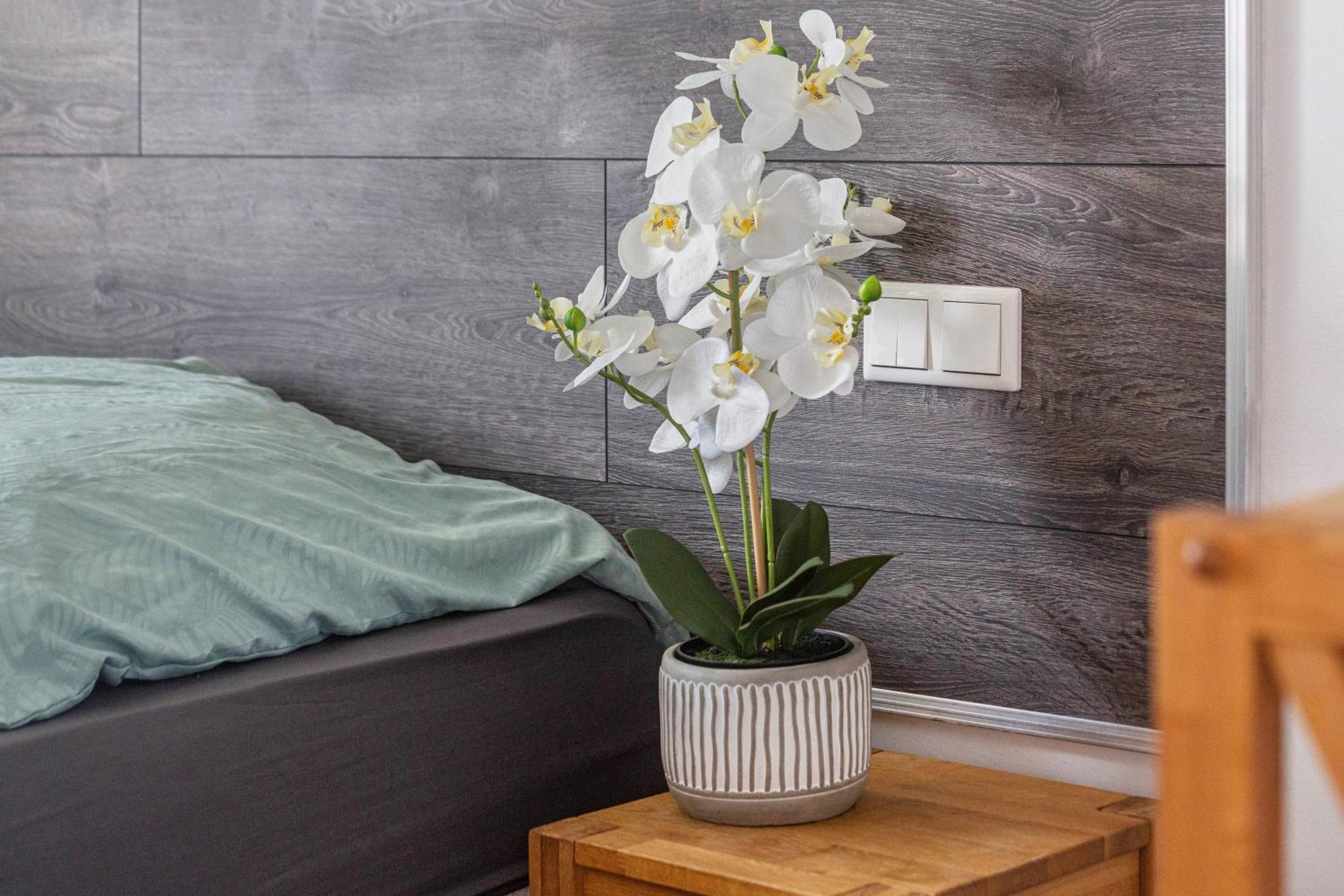 Suite In Essen-City Екстер'єр фото